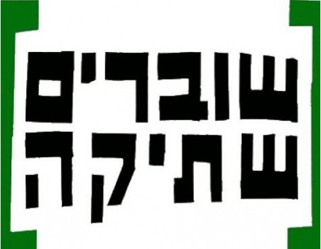 אשת הטלויזיה הוותיקה: "שוברים שתיקה- פטריוטים"