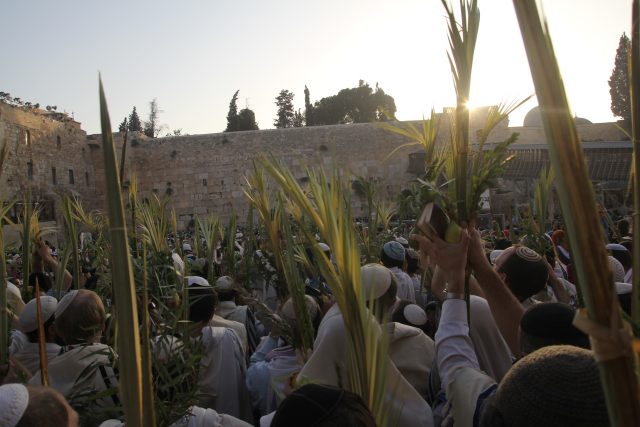 עלייה לרגל: כך חוגגים את סוכות בכותל המערבי