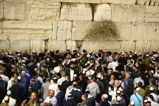 רגע לפני יום כיפור: המונים בסליחות בכותל • גלריה