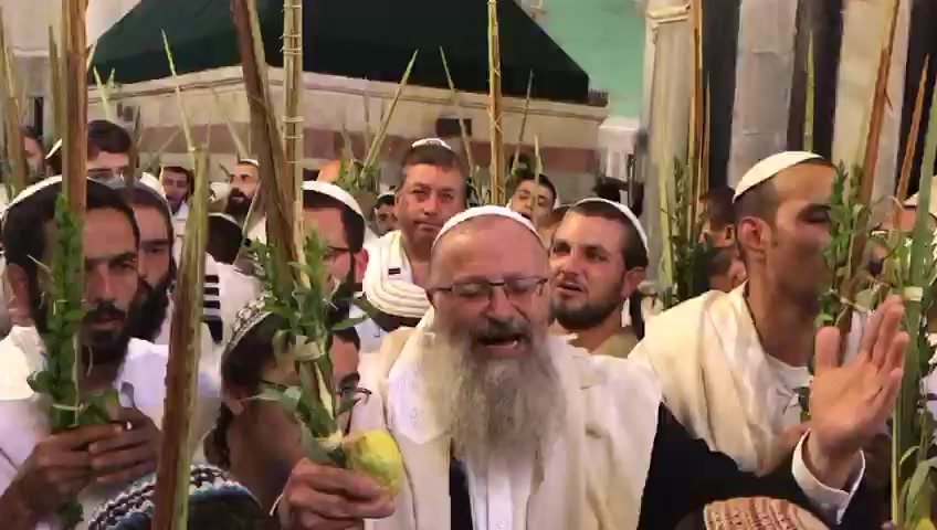 הרב אליהו