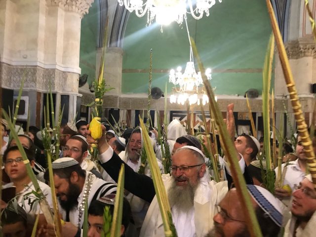 בכלי נגינה • צפו: תפילת הלל עצמתית עם הרב אליהו