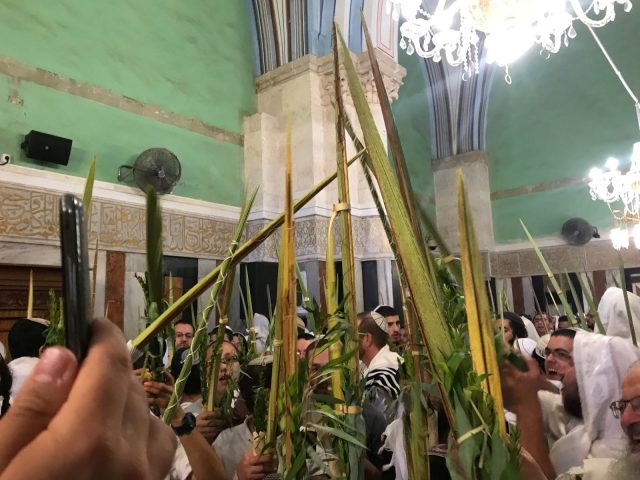בכלי נגינה • צפו: תפילת הלל עצמתית עם הרב אליהו