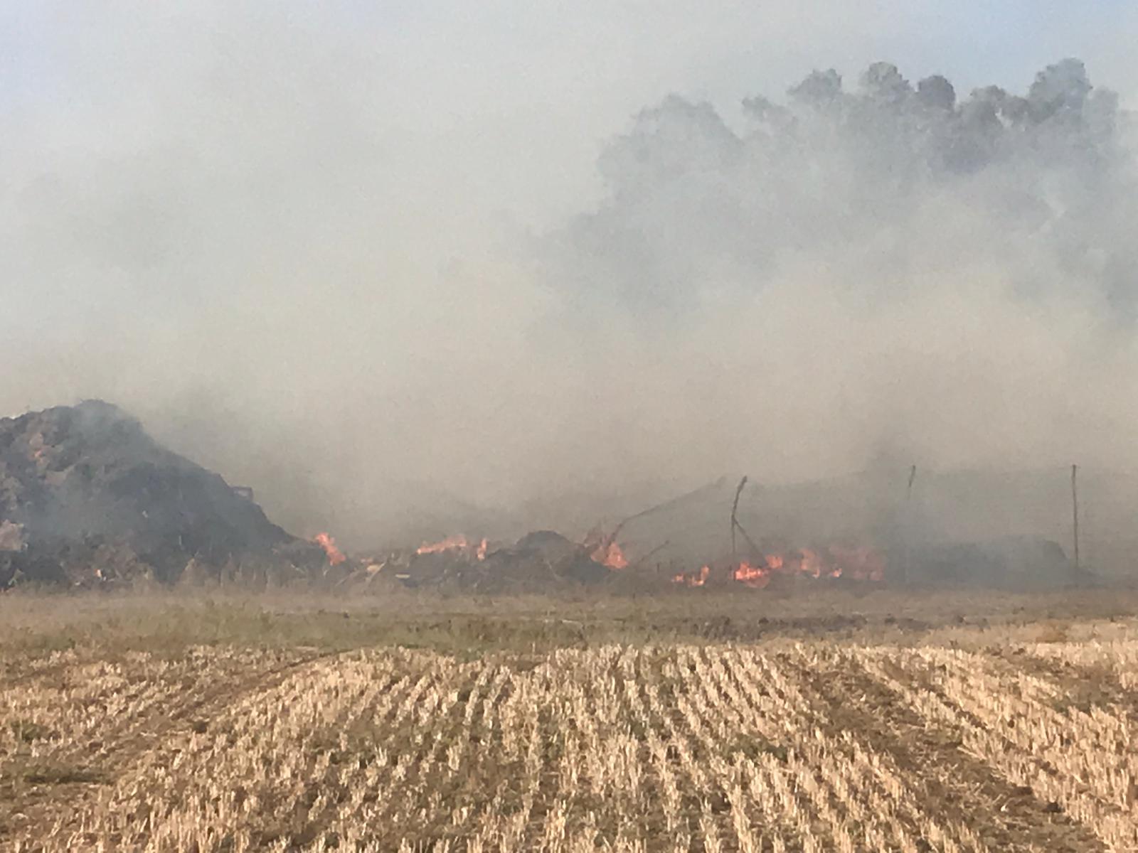 שריפה בדרום: תושבי מושב ברכיה פונו מבתיהם