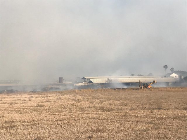 שריפה בדרום: תושבי מושב ברכיה פונו מבתיהם