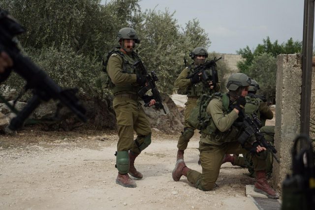 (קרדיט: דו"צ)