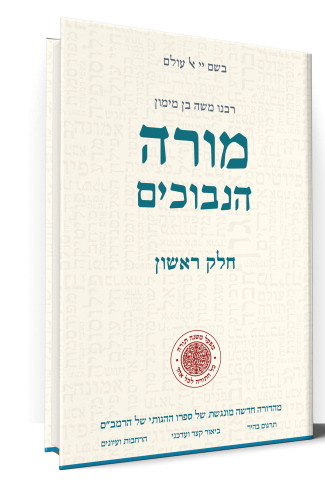 כריכת הספר – מורה נבוכים