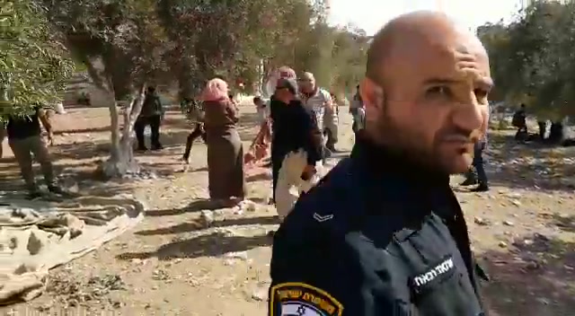 הר הבית מסיק
