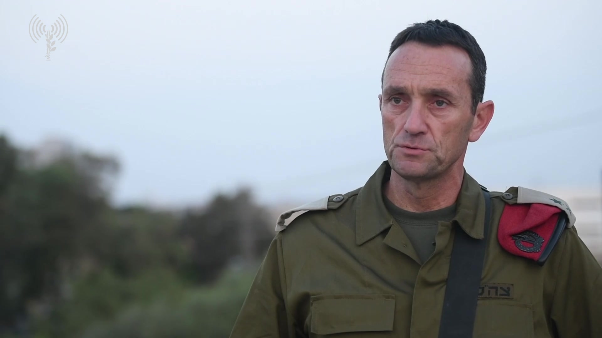 הרצי הלוי