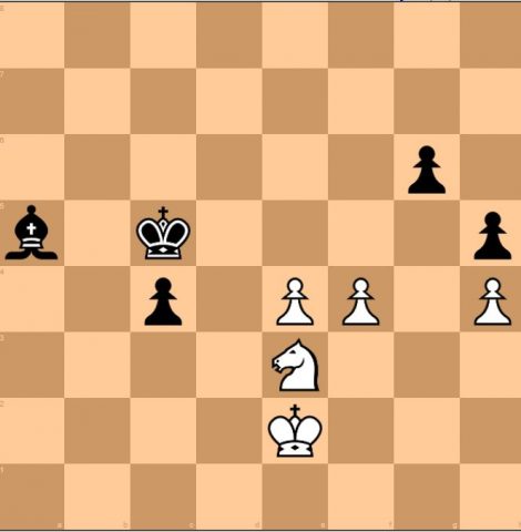 הלבן במסע 47.? (צילום מסך)