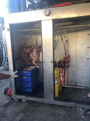 רגע לפני שיצא למסעדות: בשר בשלבי רקבון אותר בי-ם