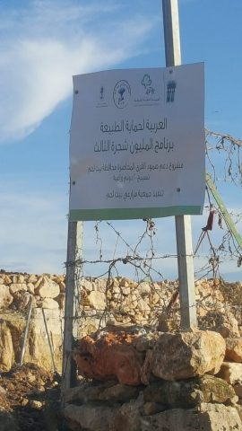 שלט של "פרוייקט מיליון עצי הזית" (קרדיט: תנועת רגבים)