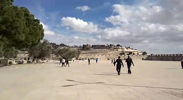 כדורגל הר הבית