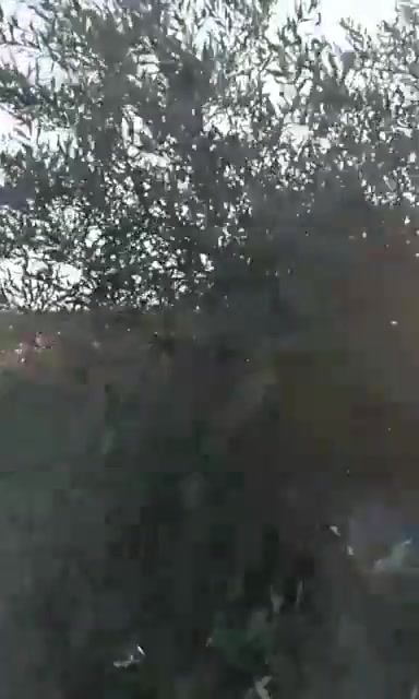 WhatsApp Video 2018-12-09 at 12.37.02