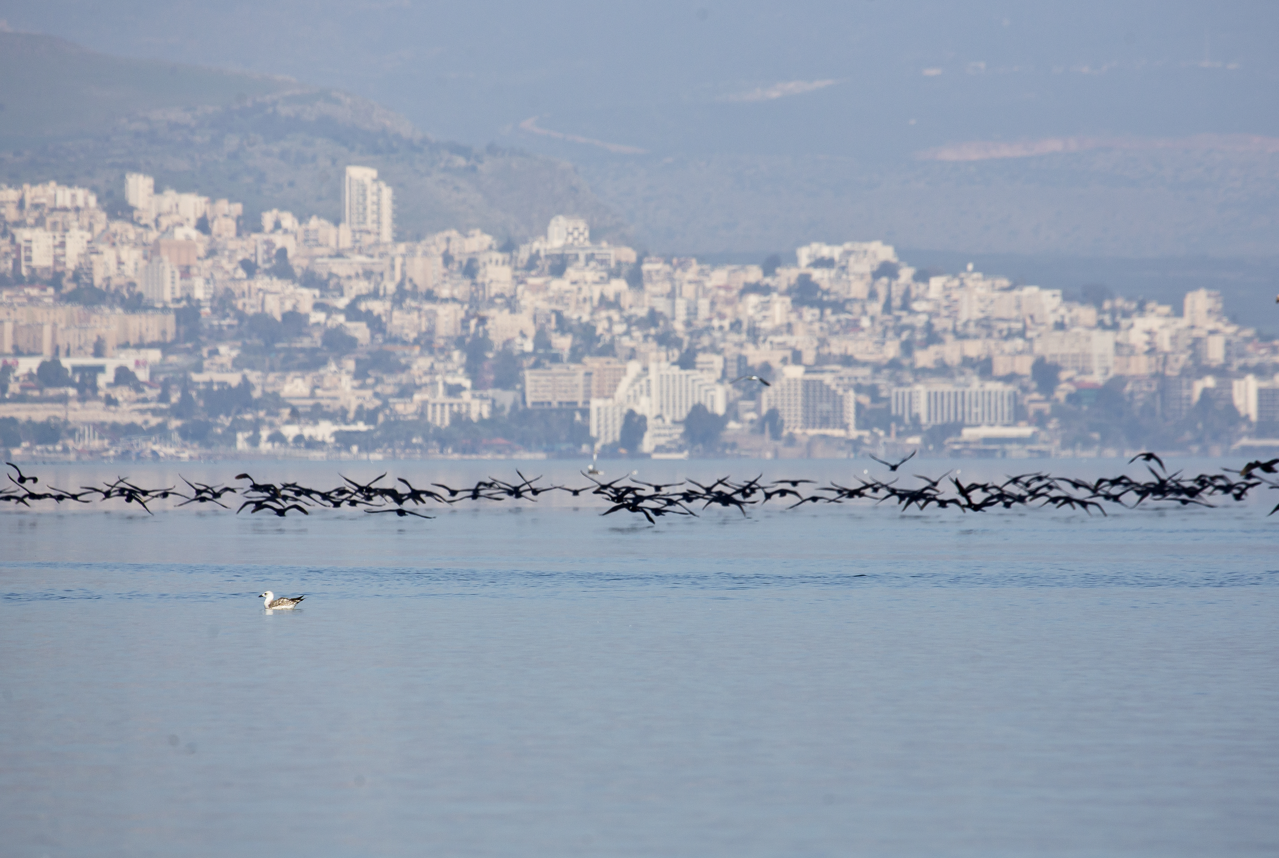 דאגה: למרות הגשמים, מפלס הכנרת בקושי עולה