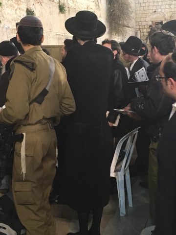 (קרדיט: נצח יהודה)
