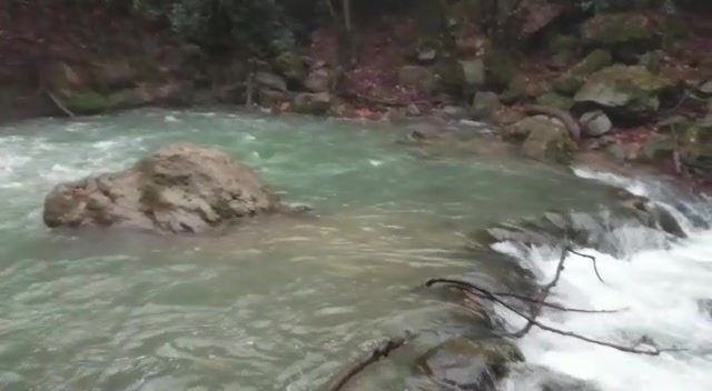 WhatsApp Video 2018-12-27 at 10.18.14
