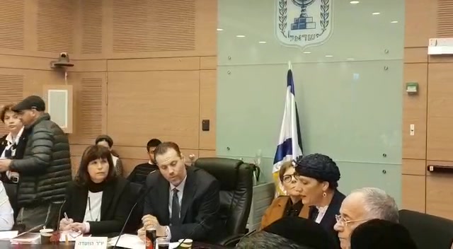 שולי1