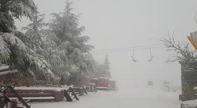 WhatsApp Video 2019-01-03 at 09.40.53 (1)