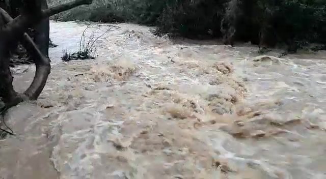 גשמי ברכה • תוך יום: מפלס הכינרת רשם זינוק אדיר