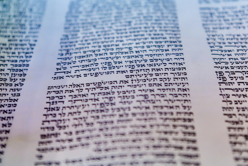 תורה ששרה בשני קולות/ הרב אלקנה שרלו