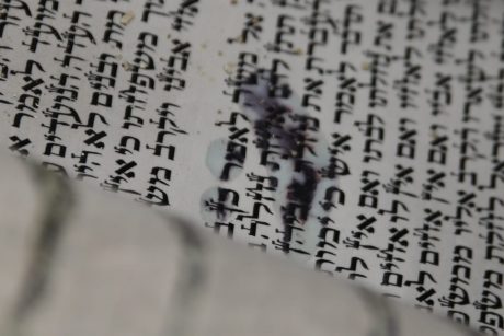 המומים וכואבים: תיעוד חילול בית הכנסת בירושלים