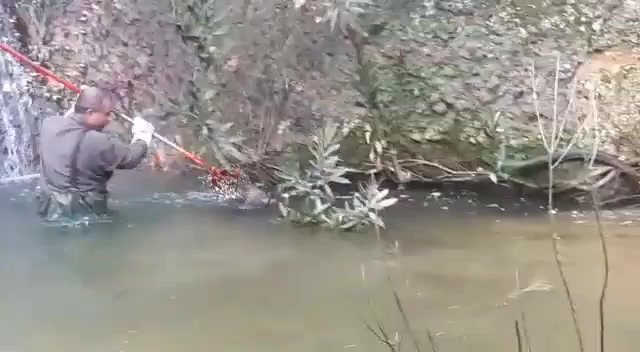 WhatsApp Video 2019-02-06 at 16.33.51