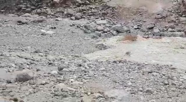 WhatsApp Video 2019-02-07 at 10.31.19