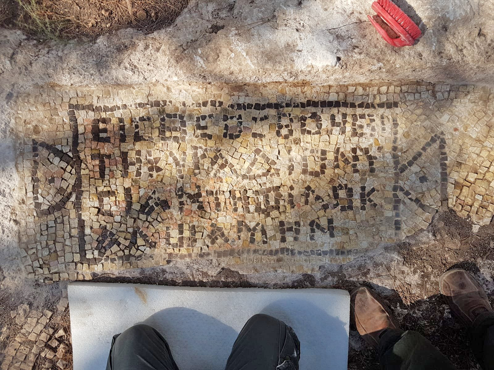 החוקרים מצאו: "רק אלוהים עוזר לנחלה של האדון"