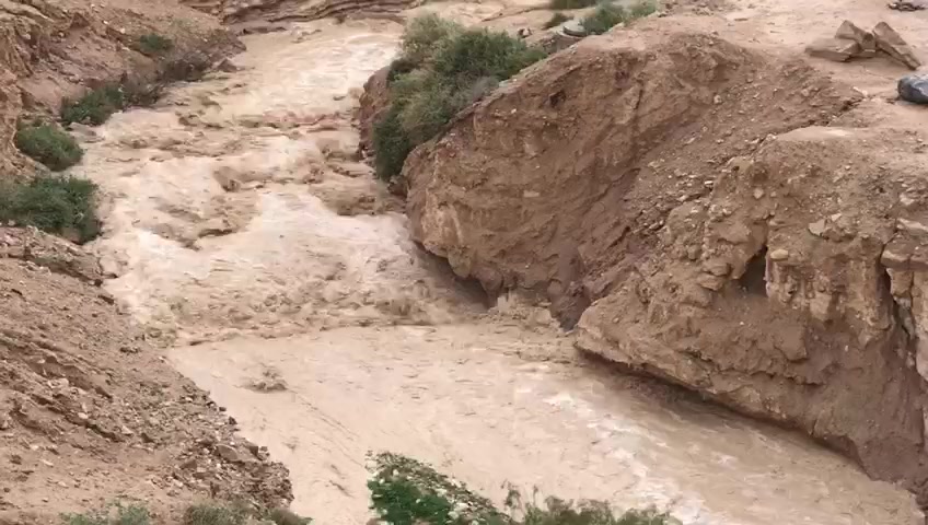 WhatsApp Video 2019-02-28 at 11.54.32