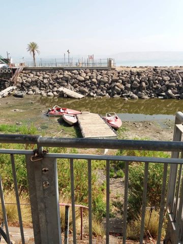 הכנרת לפני חמישה חודשים