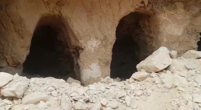 ידידיה ניימן (1)