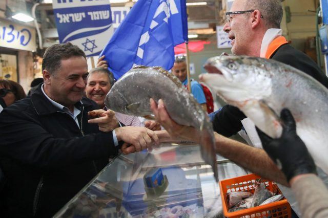 (חיים גולדברג/ כיכר השבת)