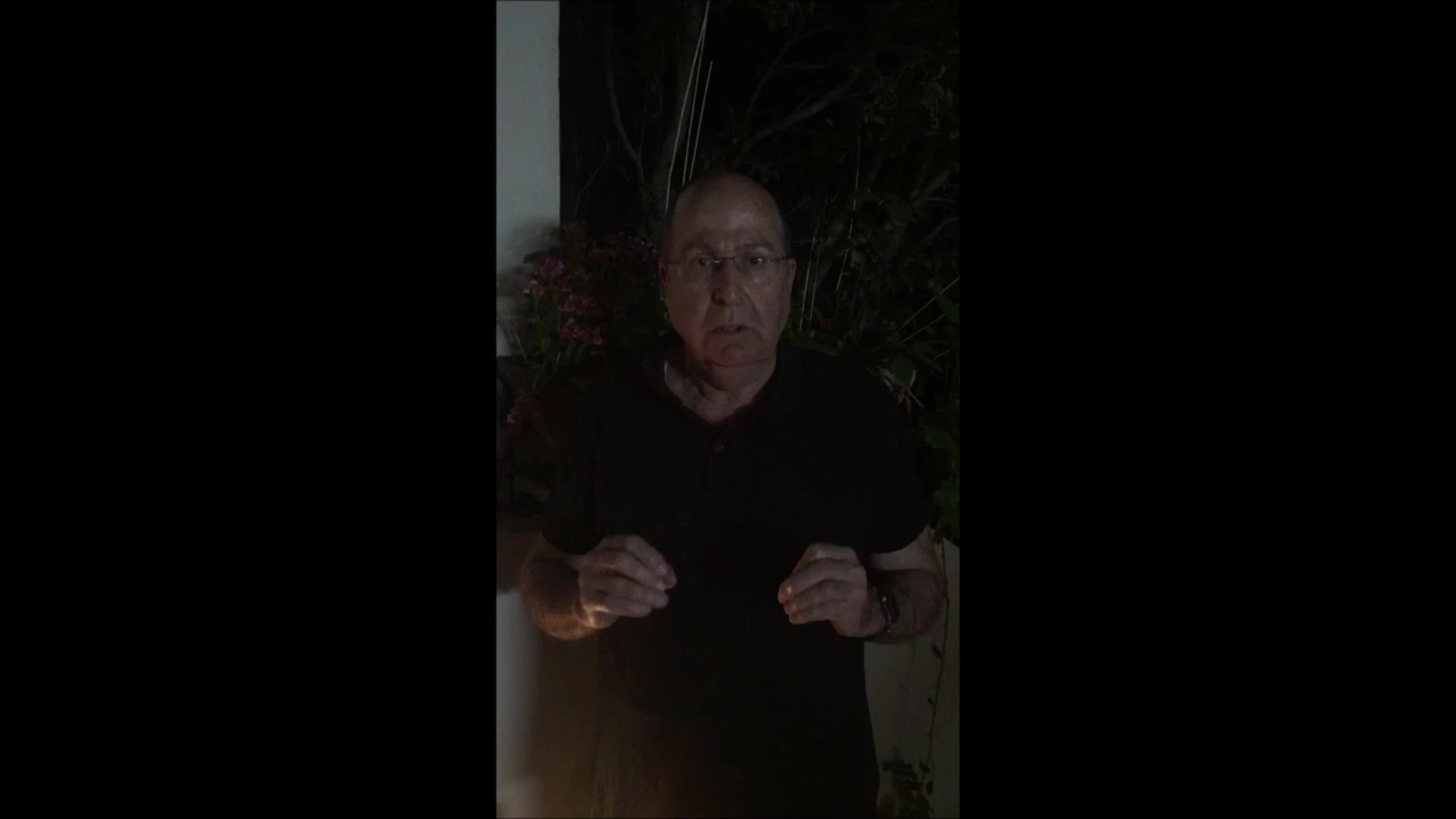 בוגי