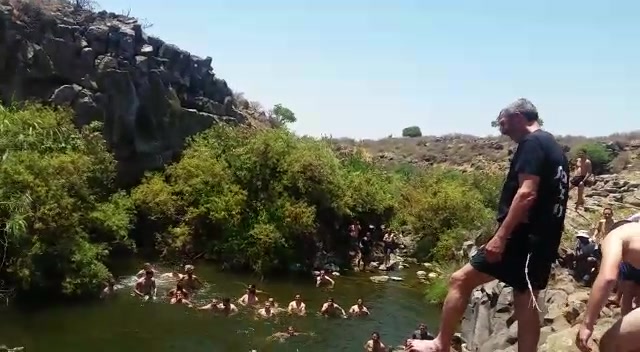 הרב פרץ זוויתן