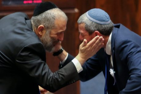 מהראל סקעת עד מאיה ורטהיימר: הסלבס בכנסת