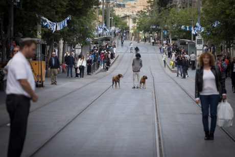 שדרות יפו בירושלים