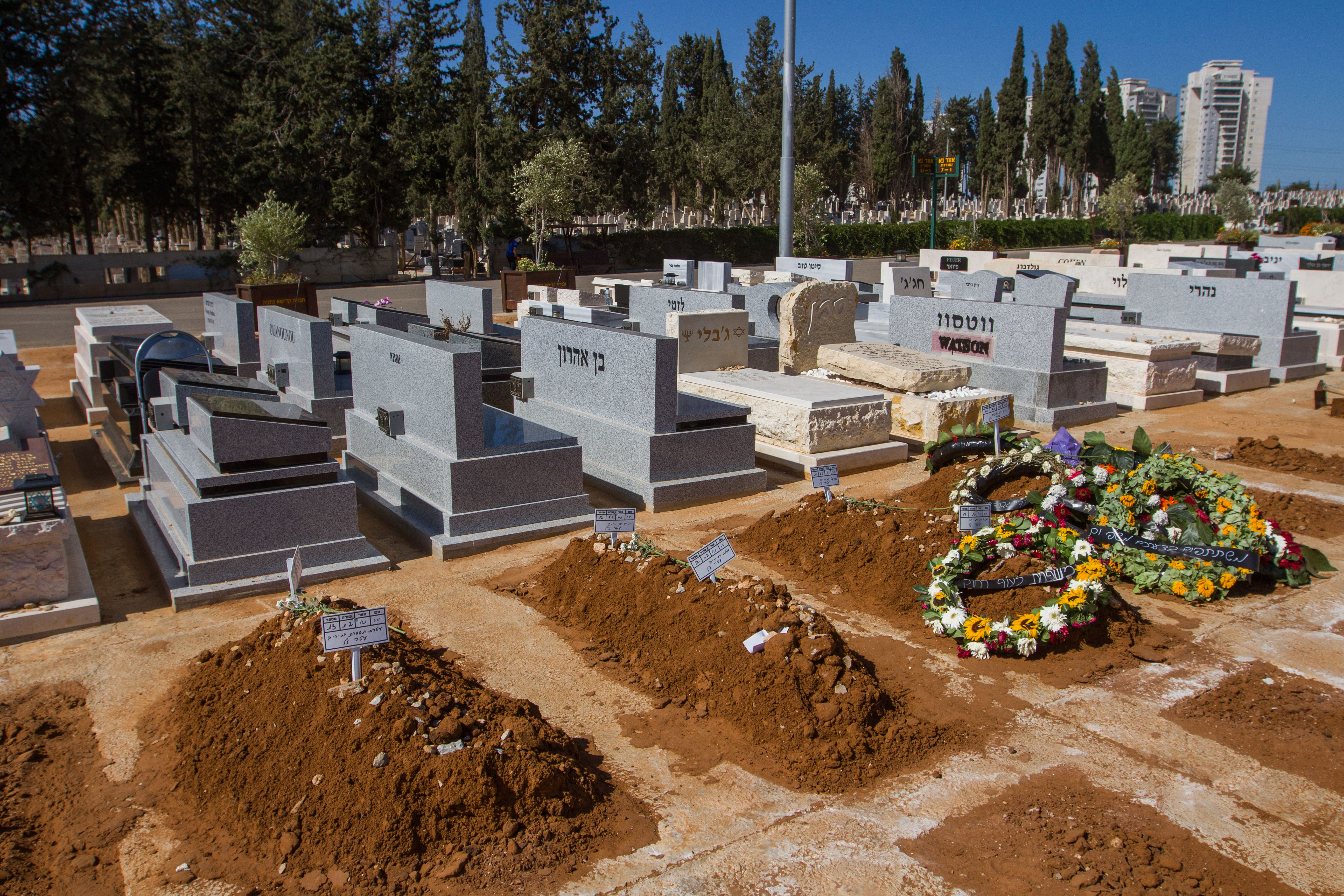 "לשמחתי לא ניפגש היום בהלוויה של הבן שלי"