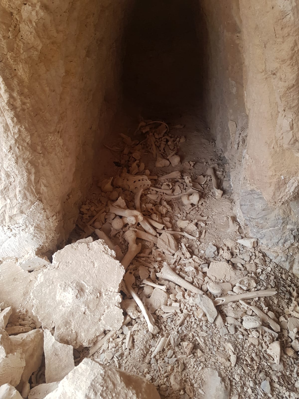 עצמות היהודים מימי בית שני הובאו לקבורה