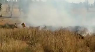 שריפות עזה