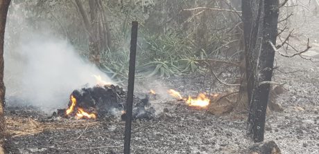 השריפה במבוא מודיעים: "כמעט כל היישוב הוחרב"