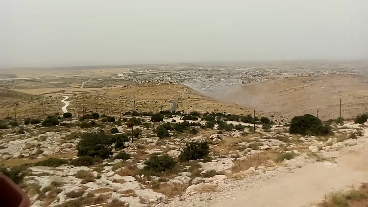 כתבה נגוהות