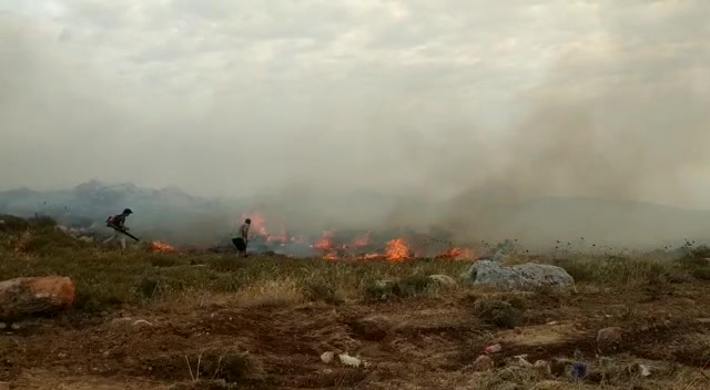 איתמר