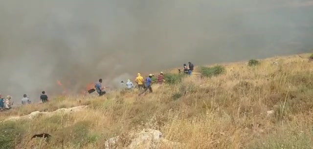 שריפה אלון מורה 3