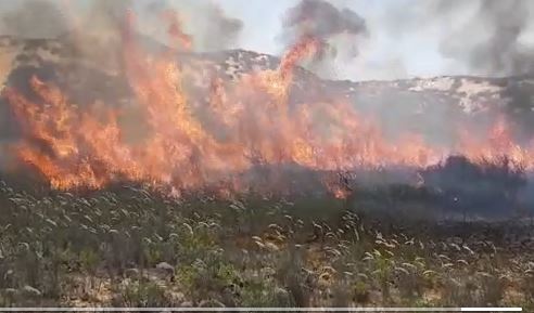 בלון תבערה נפל בפתח בית פרטי • 25 שריפות בעוטף