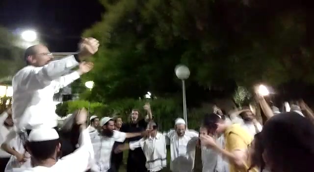 חגיגות תורת החיים (2)