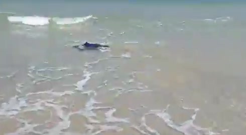 WhatsApp Video 2019-07-11 at 11.52.35