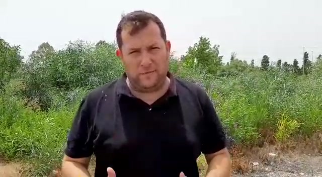 WhatsApp Video 2019-07-17 at 13.56.47