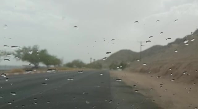 WhatsApp Video 2019-07-17 at 15.28.57