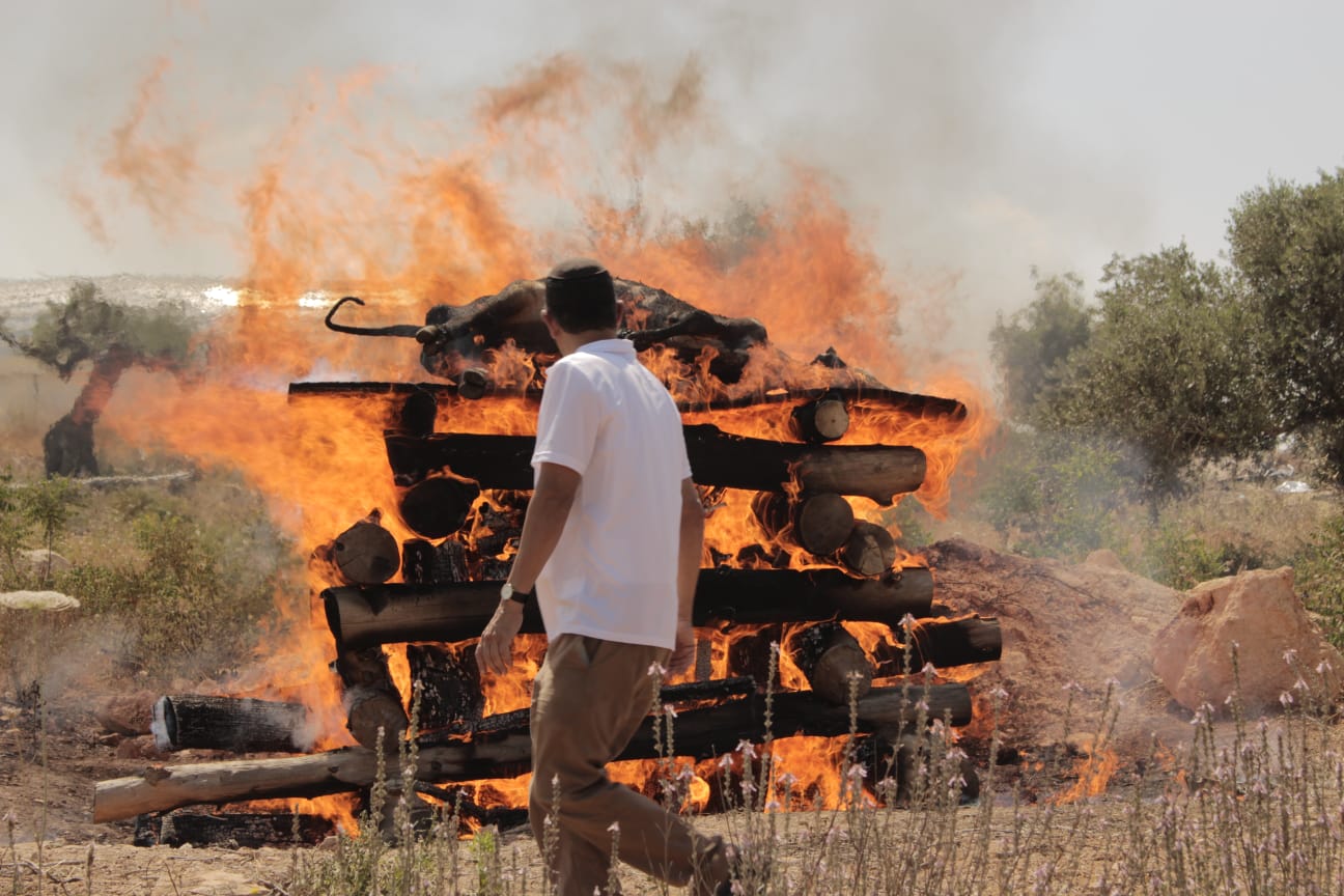 לקראת המקדש: ניסוי בשריפת פרה אדומה