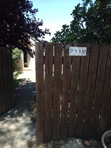 בית המשפחה בעפרה
